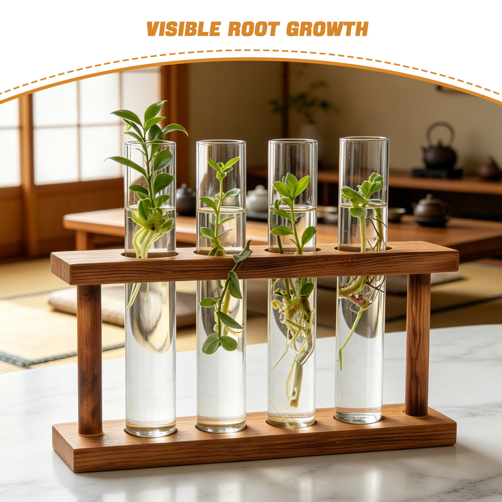 木製プランター、植物の繁殖用、ガラス製試験管型花瓶スタンド、 - Propagation Station Vase のレビューと価格