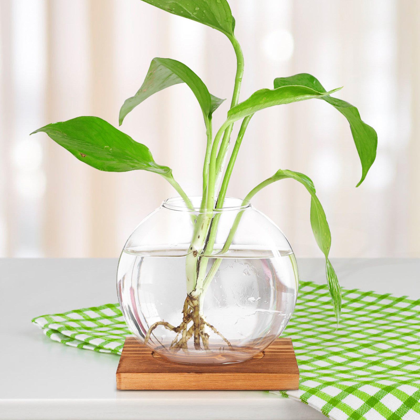 木製の台座が付いたガラス製の水耕栽培用花瓶。卓上装飾品として - Propagation Station Vase のレビューと価格