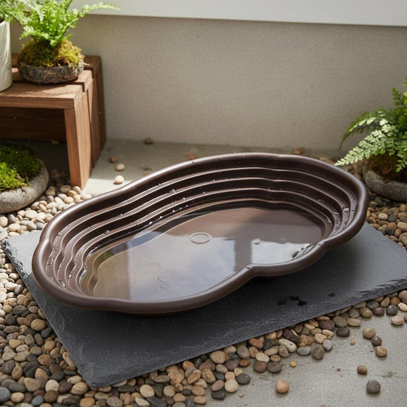 カメ用水槽（スロープ付き）清掃が簡単な両生類用浸水プール - Sphagnum Moss Dry のレビューと価格