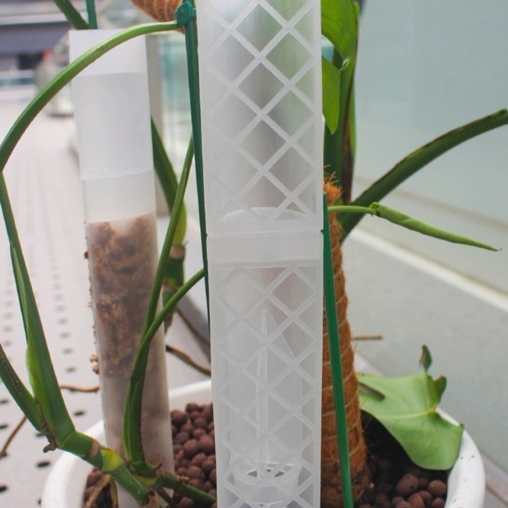 D型自動給水植物用ドリップ式流量調整可能自動散水モスカラムポ - Sphagnum Moss Dry のレビューと価格